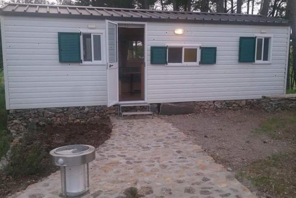 B&B Helga'S Agricampeggio Seùlo Exterior foto